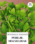 Perejil de hojas lisas