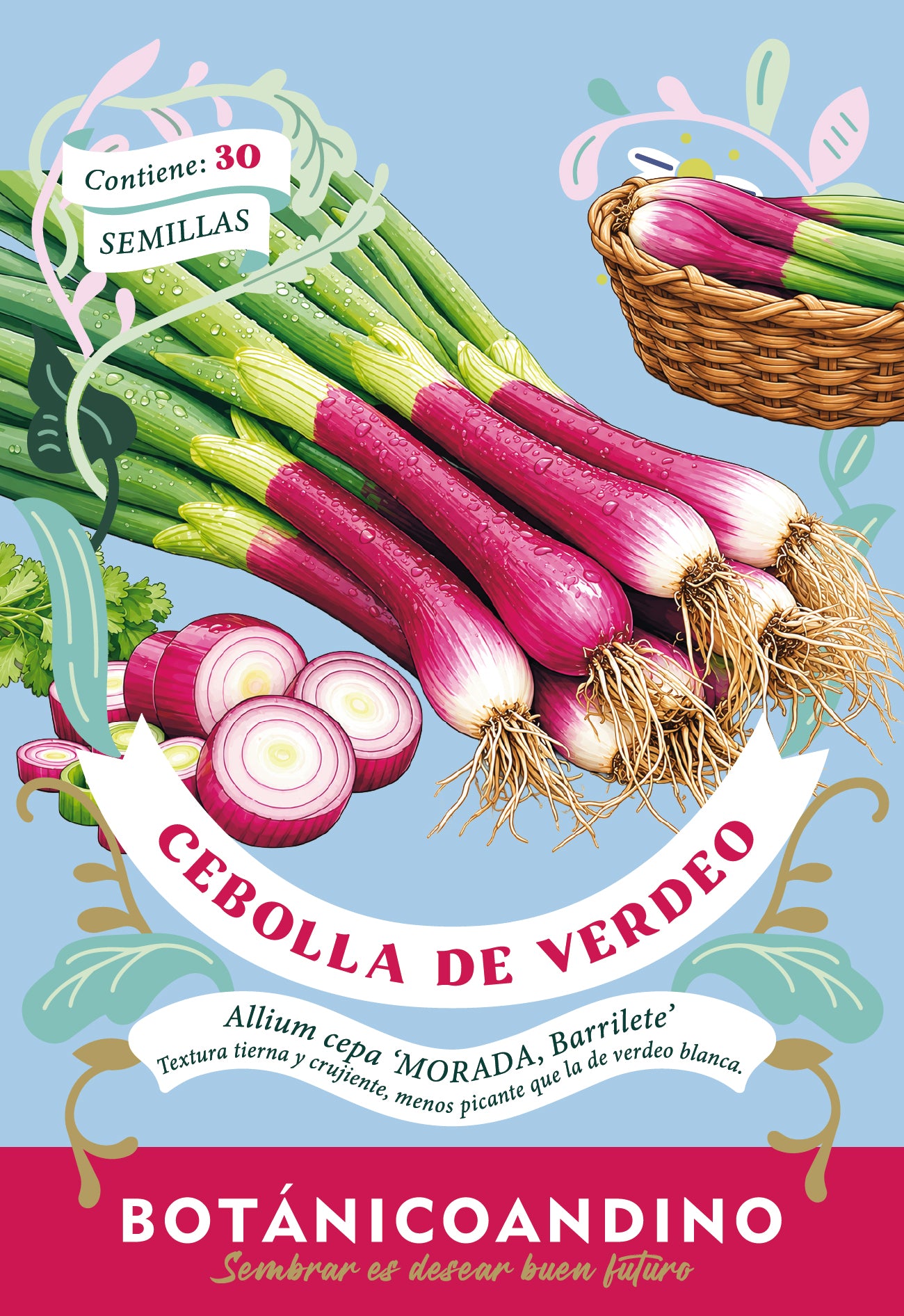 Cebolla de verdeo morada