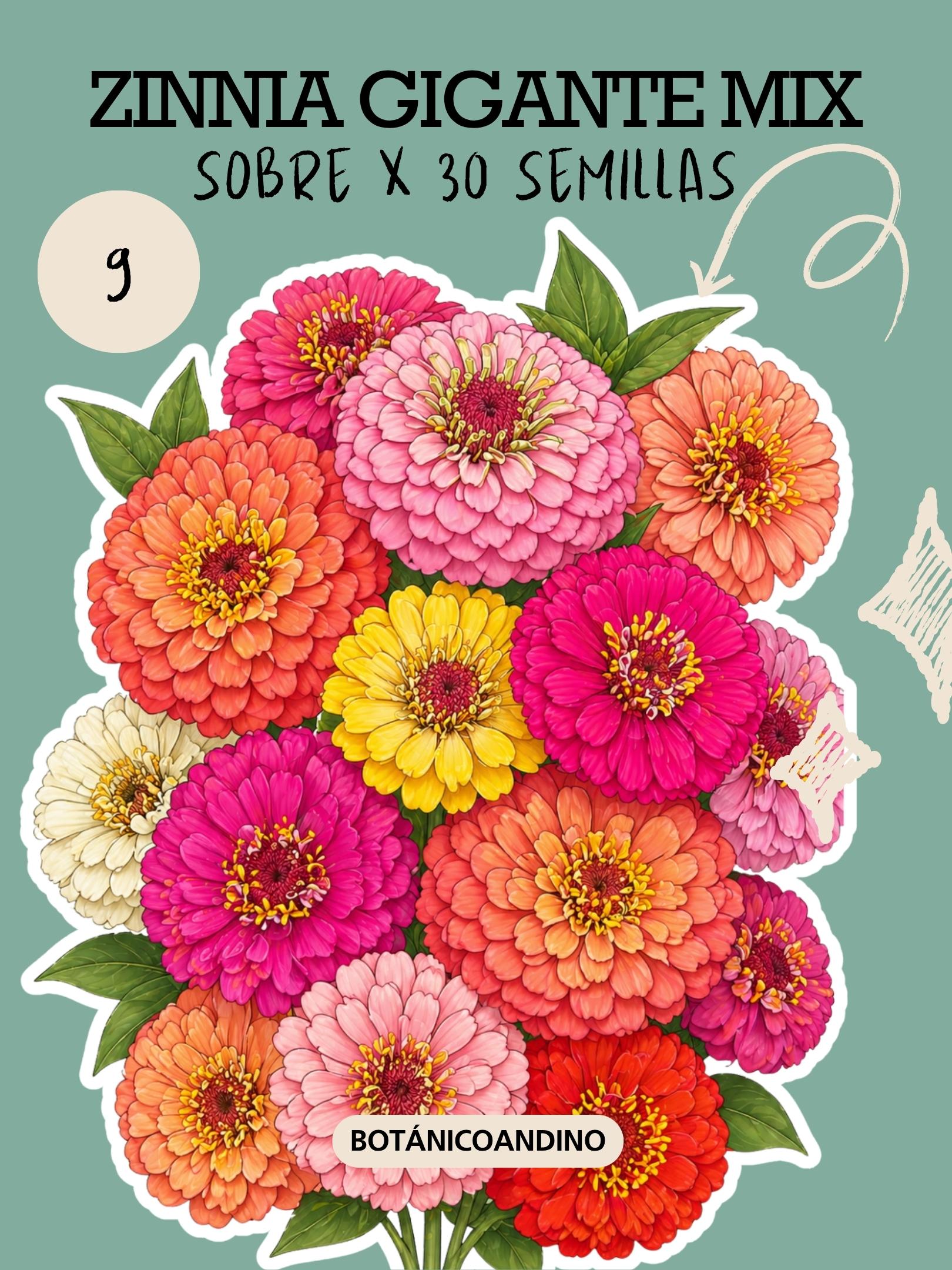 PROMO SEMILLAS X 9 SOBRES