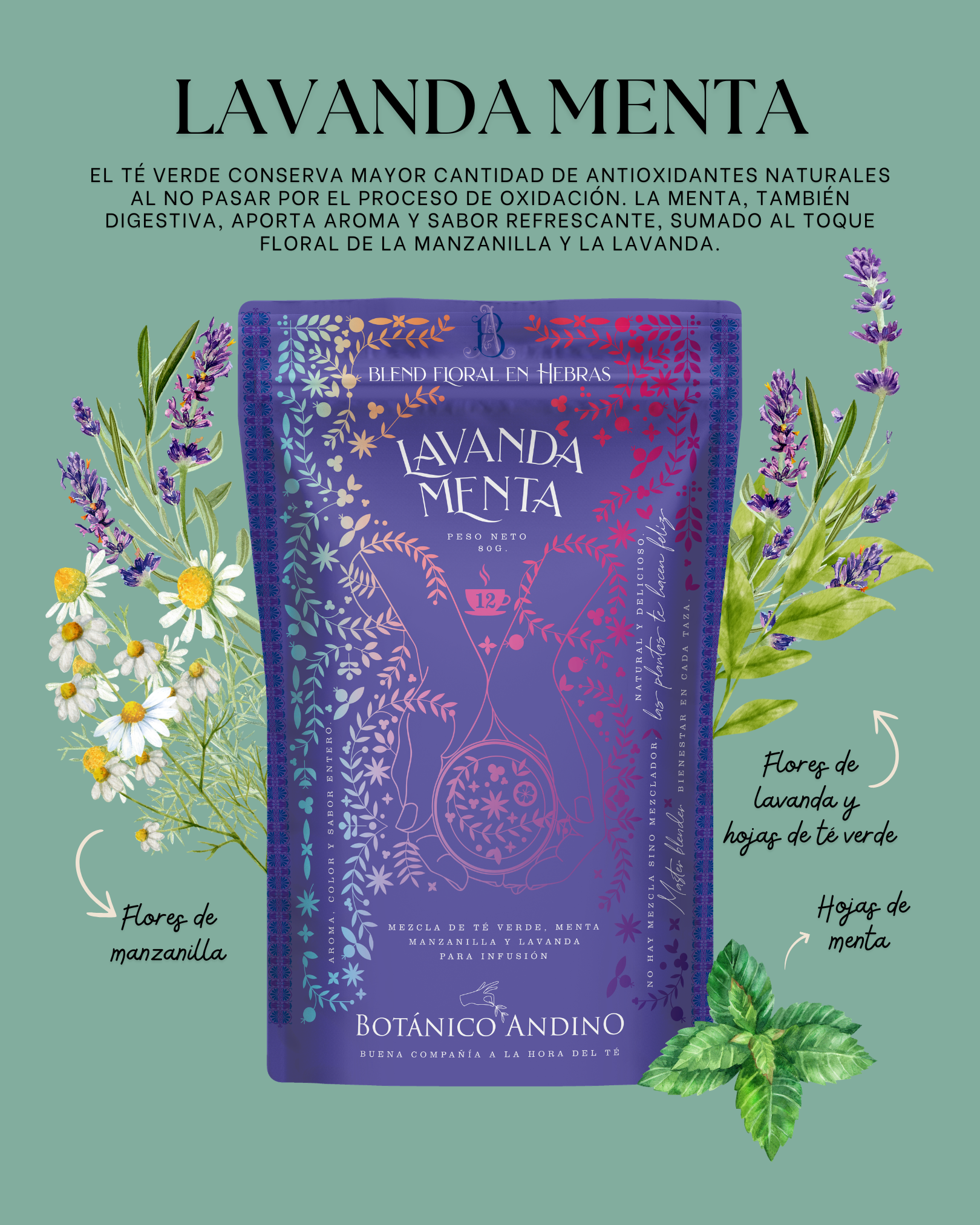 Lavanda menta