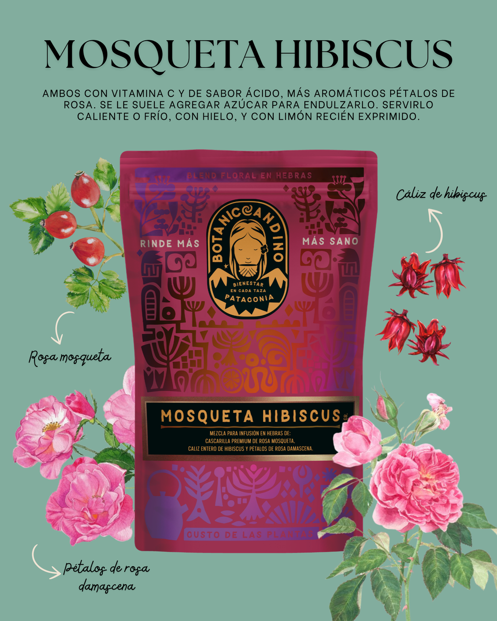 Mosqueta Hibiscus