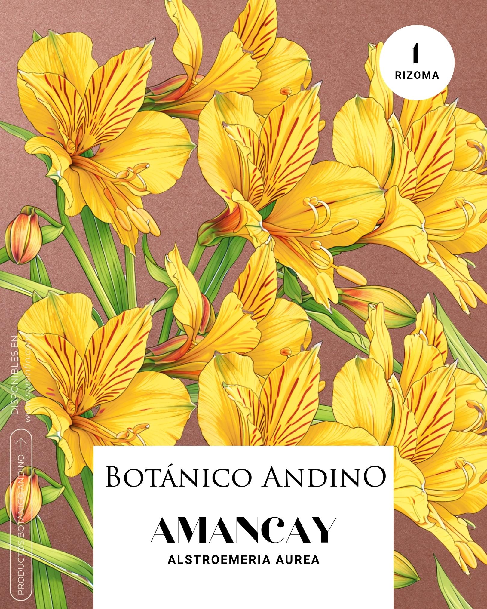 Alstromeria amarilla