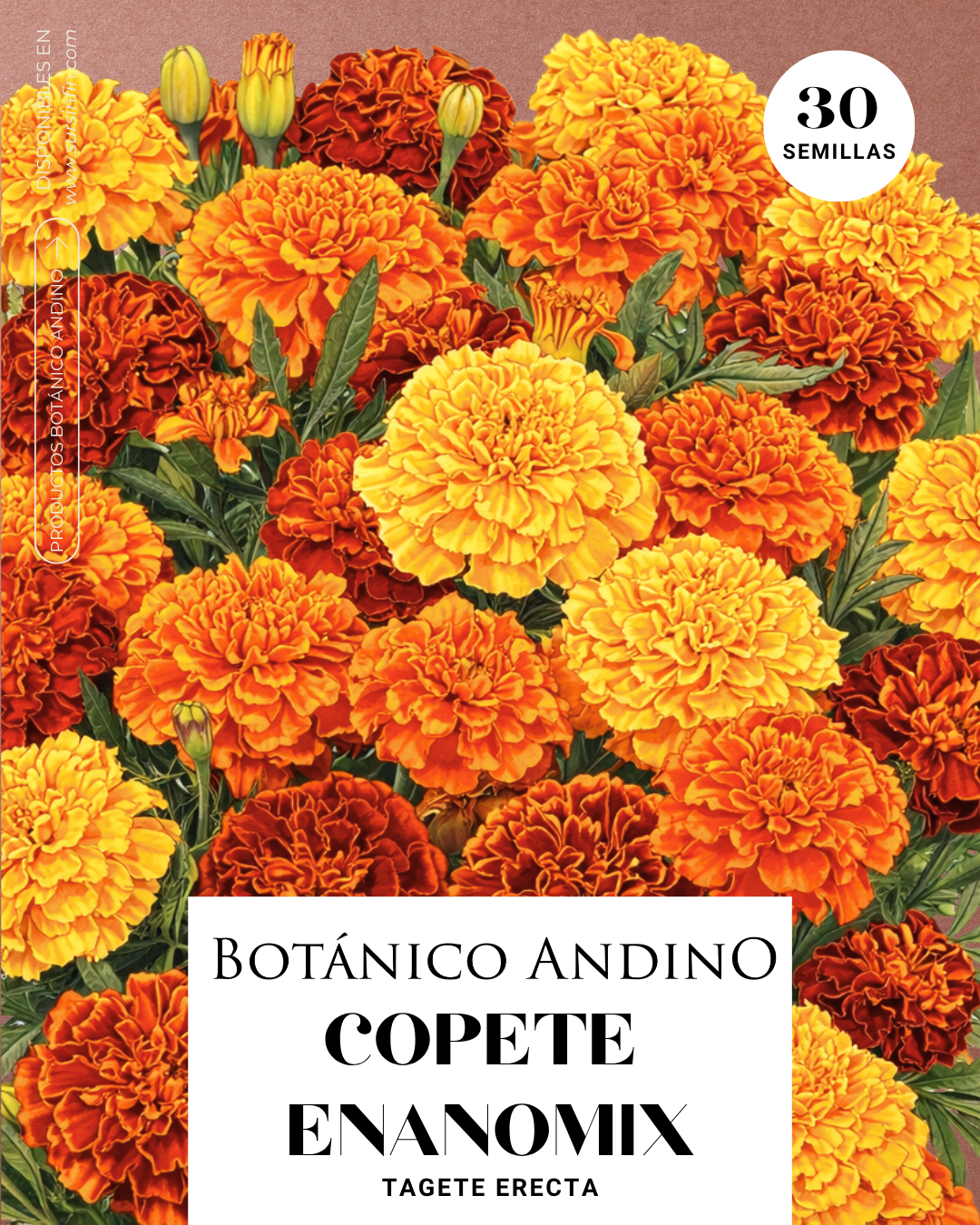 Copete enano mix