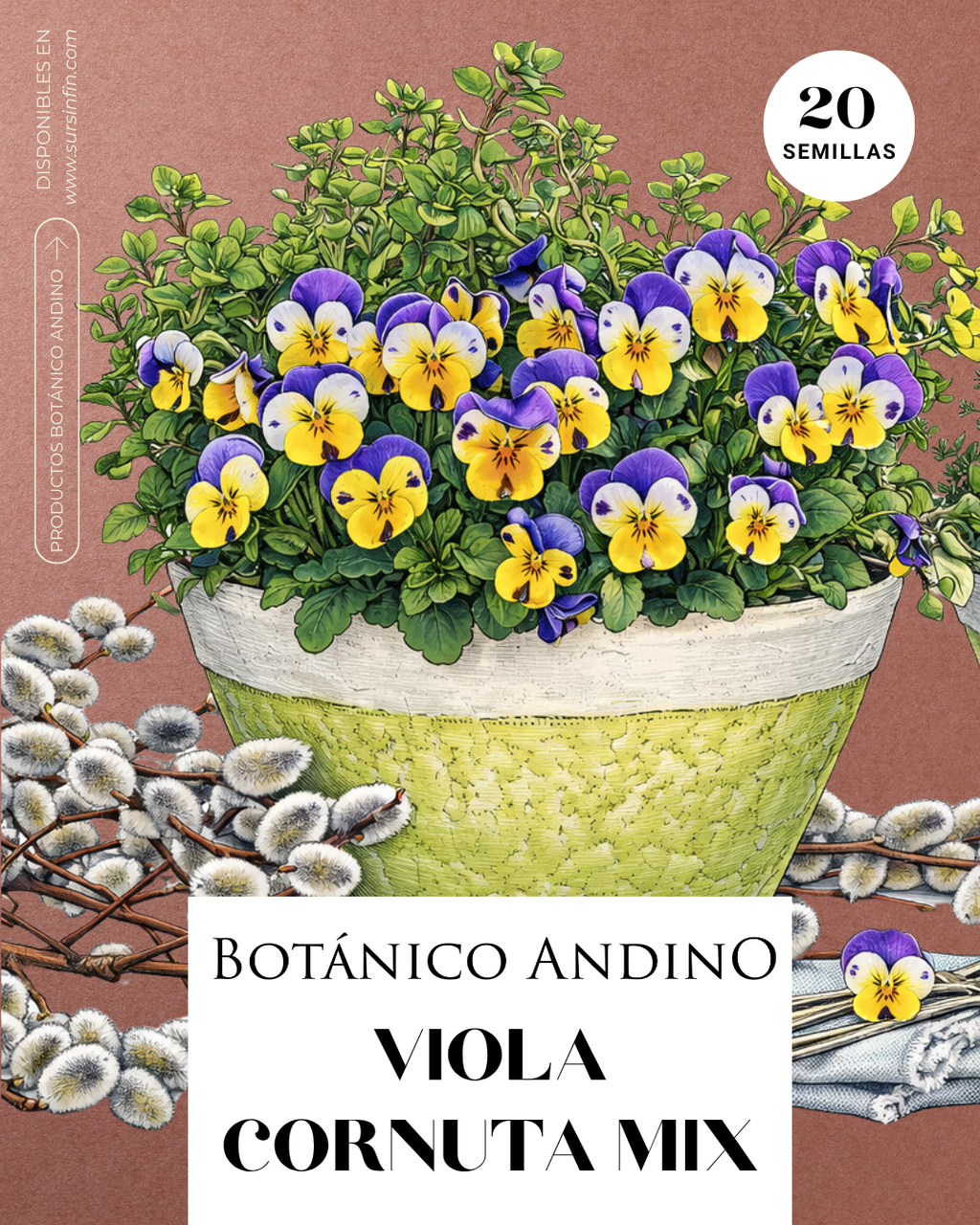 Viola Cornuta mix