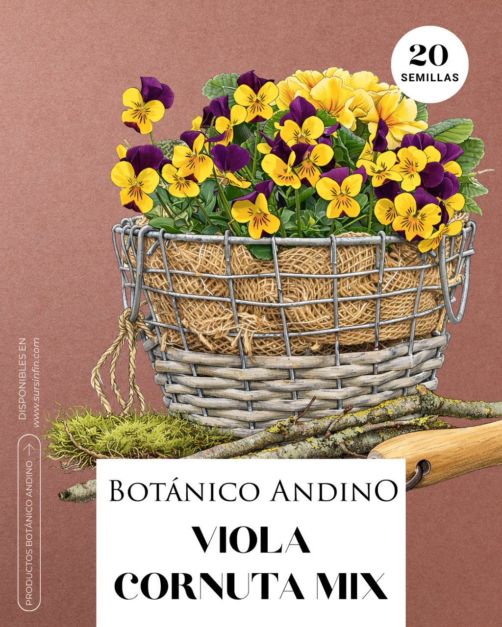 Viola Cornuta mix
