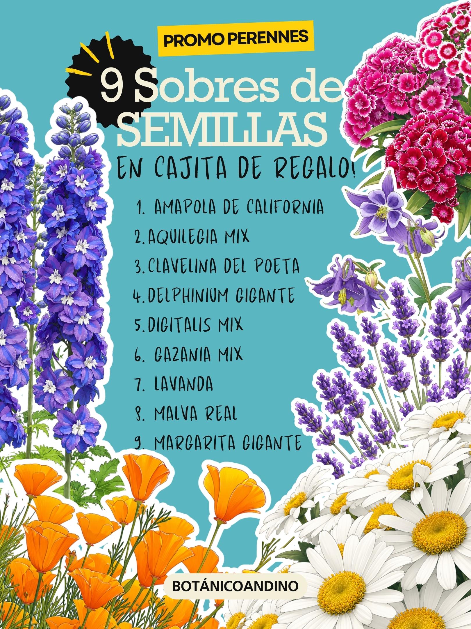 PROMO SEMILLAS PERENNES X 9 SOBRES