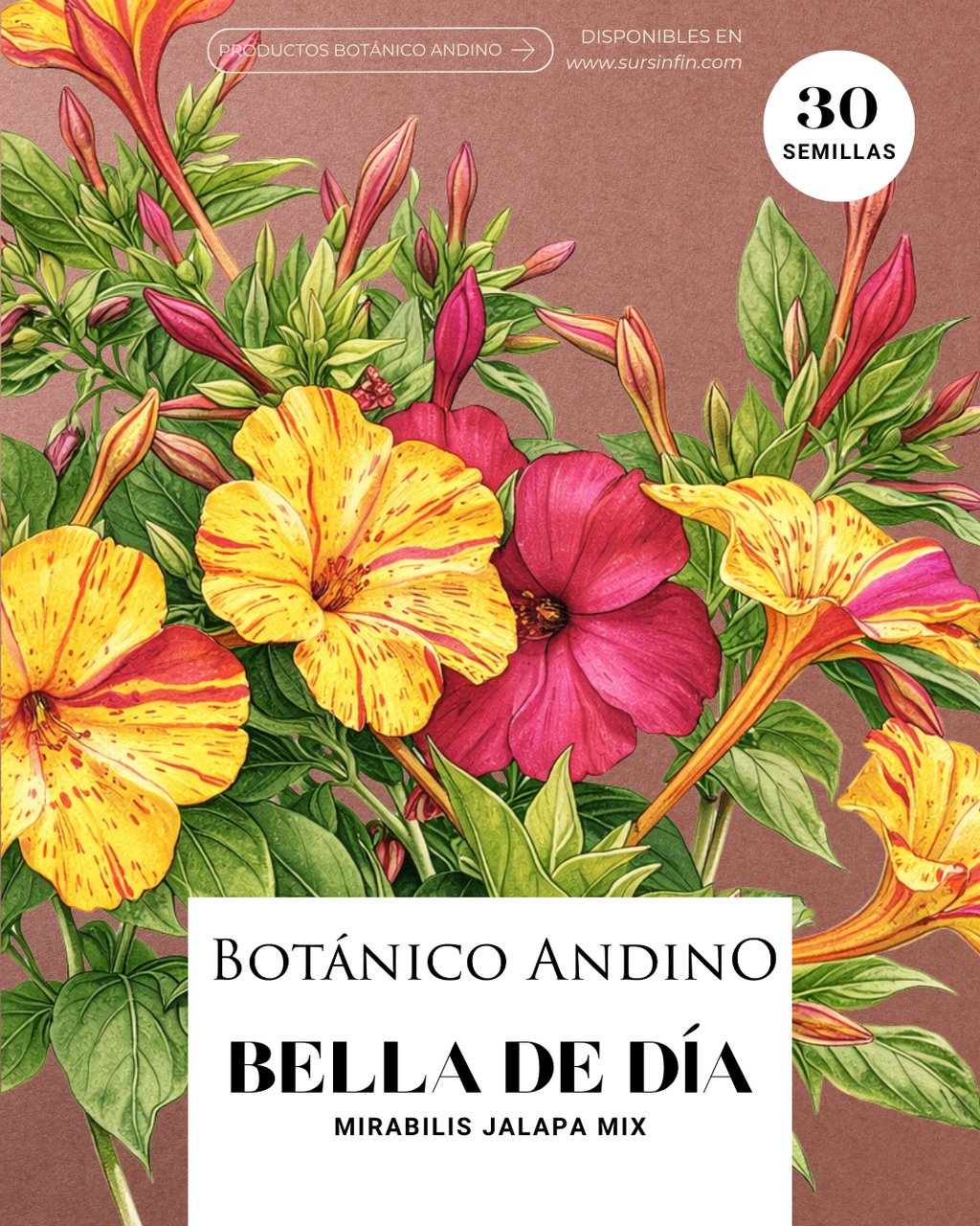 Bella de día multicolor