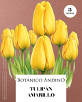 Tulipán amarillo