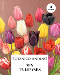 Tulipanes mix