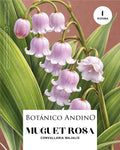 Muguet rosado