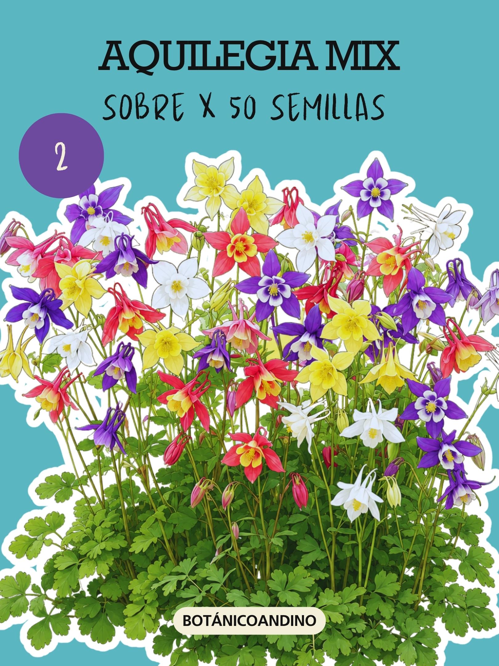 PROMO SEMILLAS PERENNES X 9 SOBRES