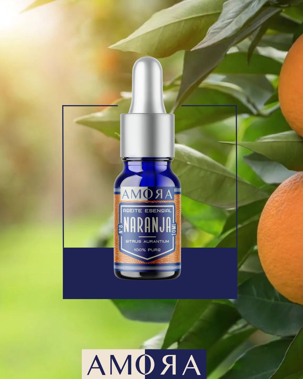 KIT CÍTRICO | NEROLÍ, NARANJA & LIMÓN