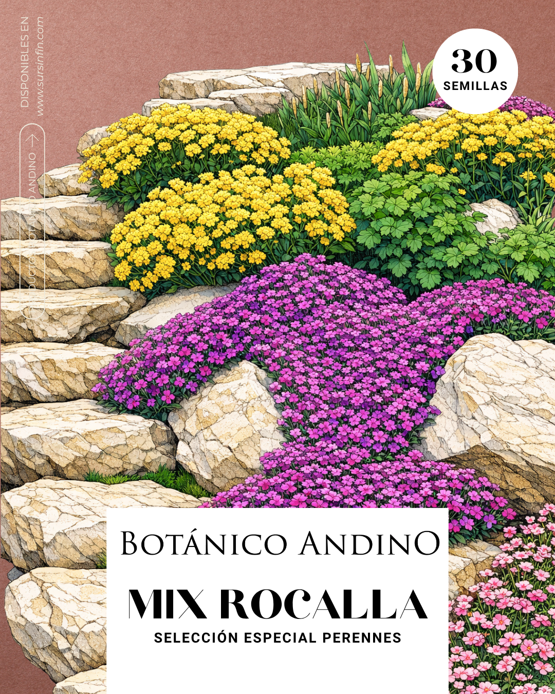 Colección especial Rocallas