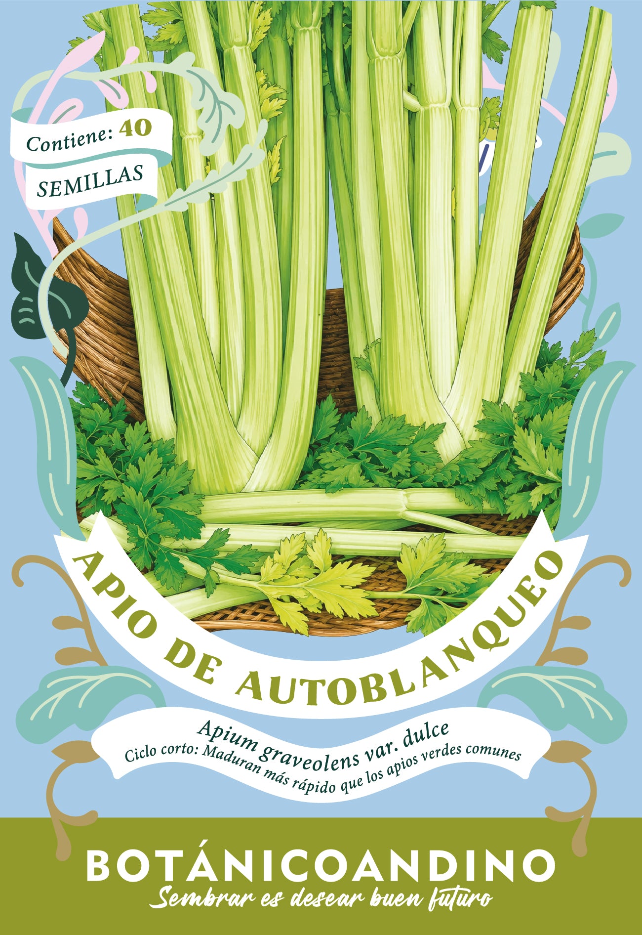 Apio de autoblanqueo