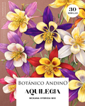 Aquilegia Híbrida mix