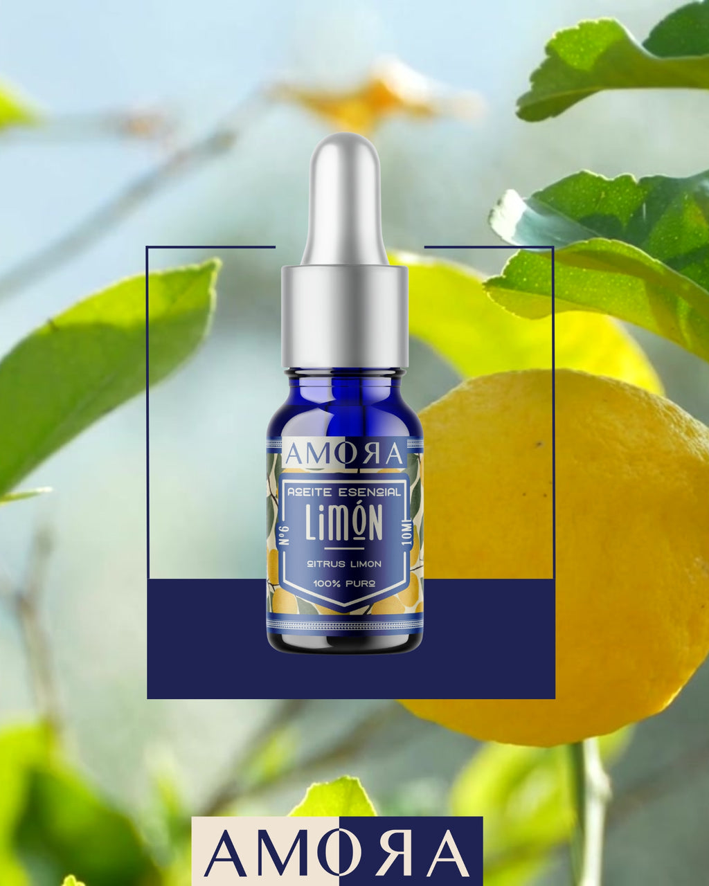 KIT CÍTRICO | NEROLÍ, NARANJA & LIMÓN