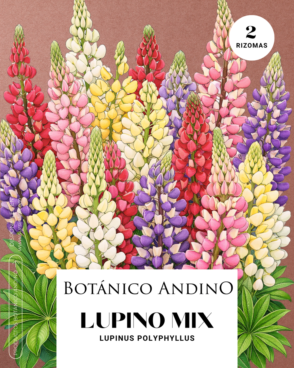Lupino Mix
