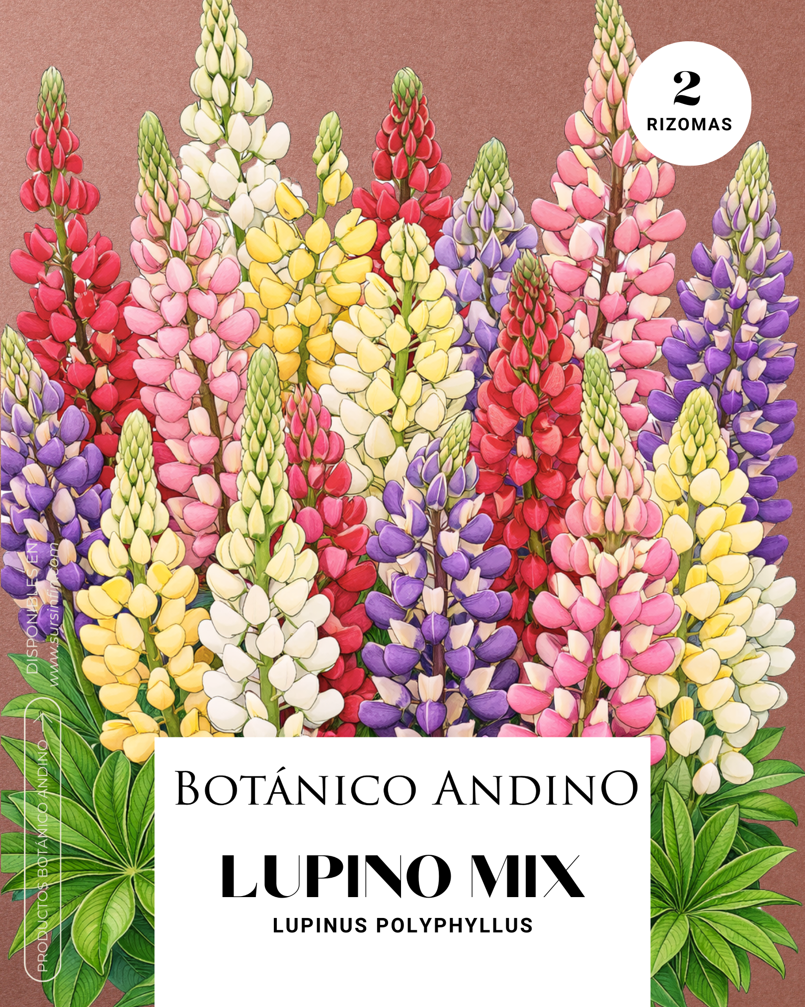 Lupino Mix