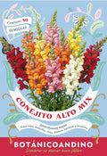 Conejito Alto - bianual