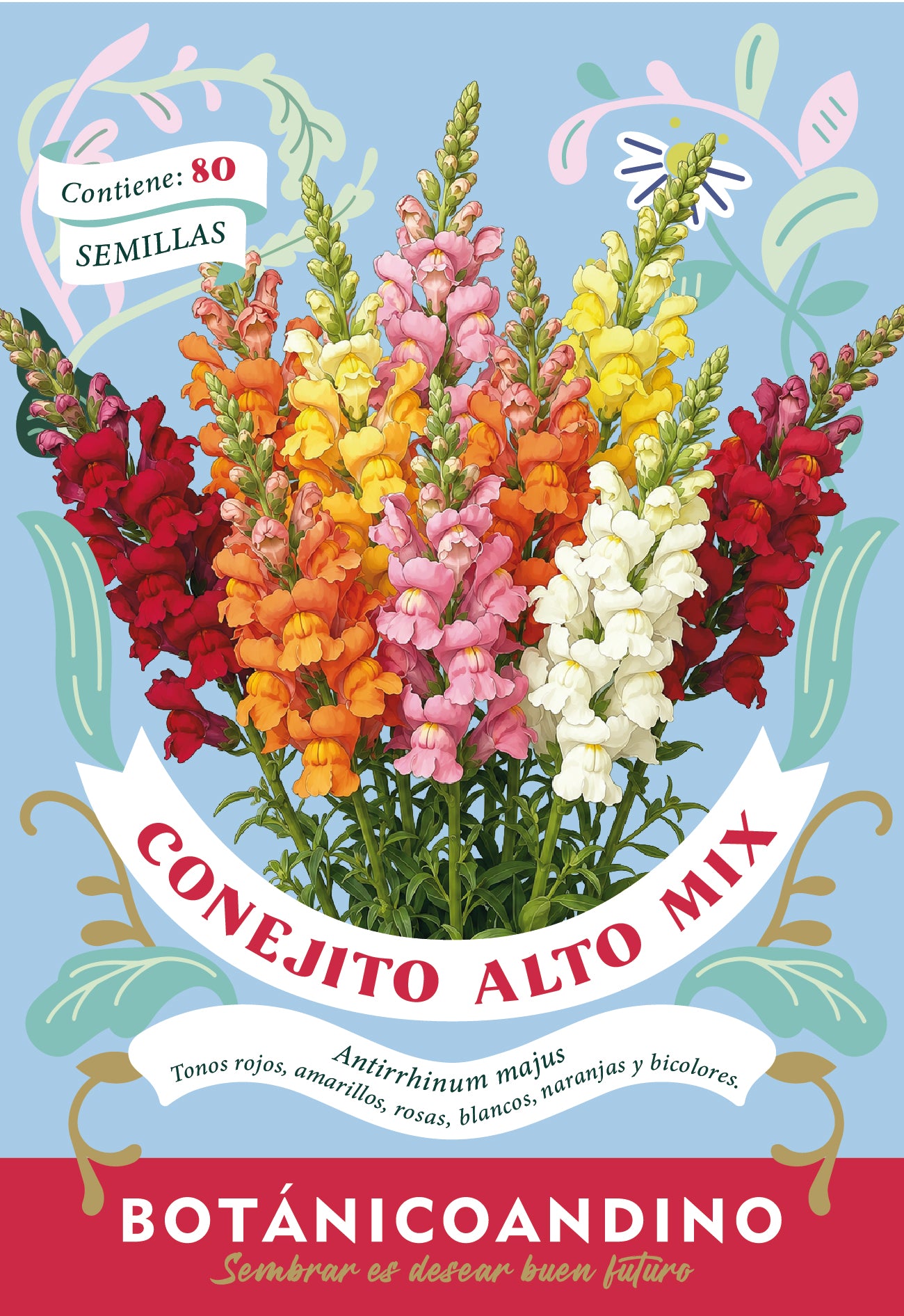 Conejito Alto - bianual