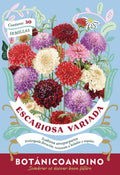 Escabiosa Imperial mix