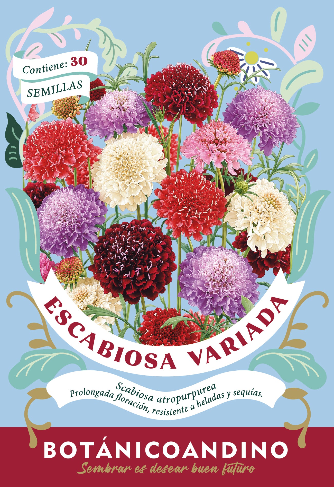 Escabiosa Imperial mix
