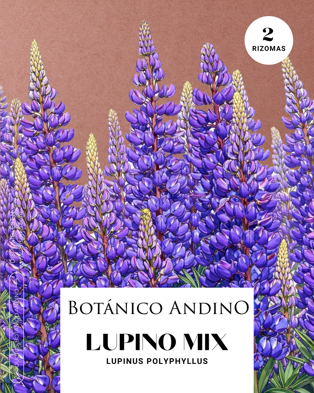 Lupino Mix