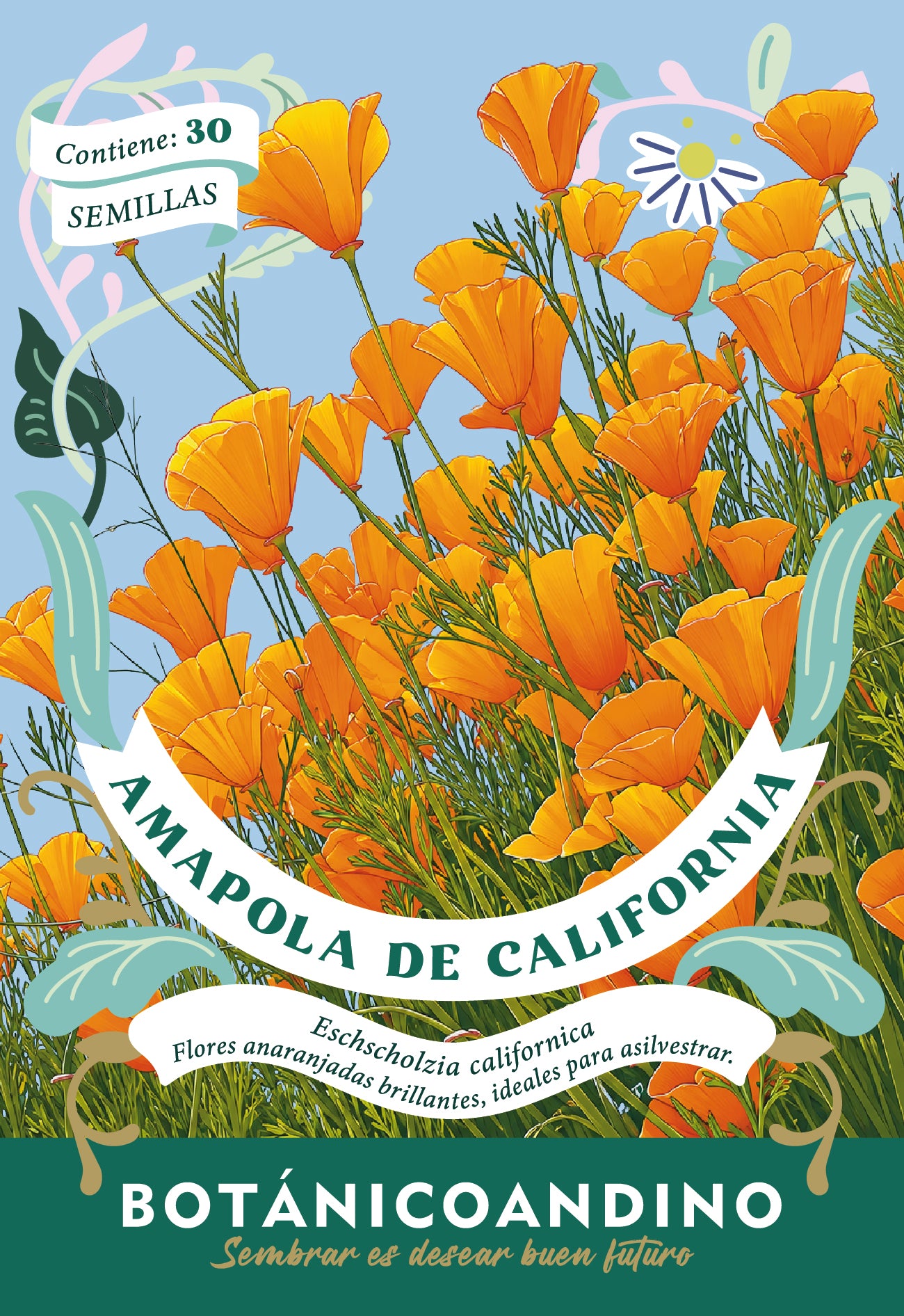 Amapola de California naranja (40 semillas)