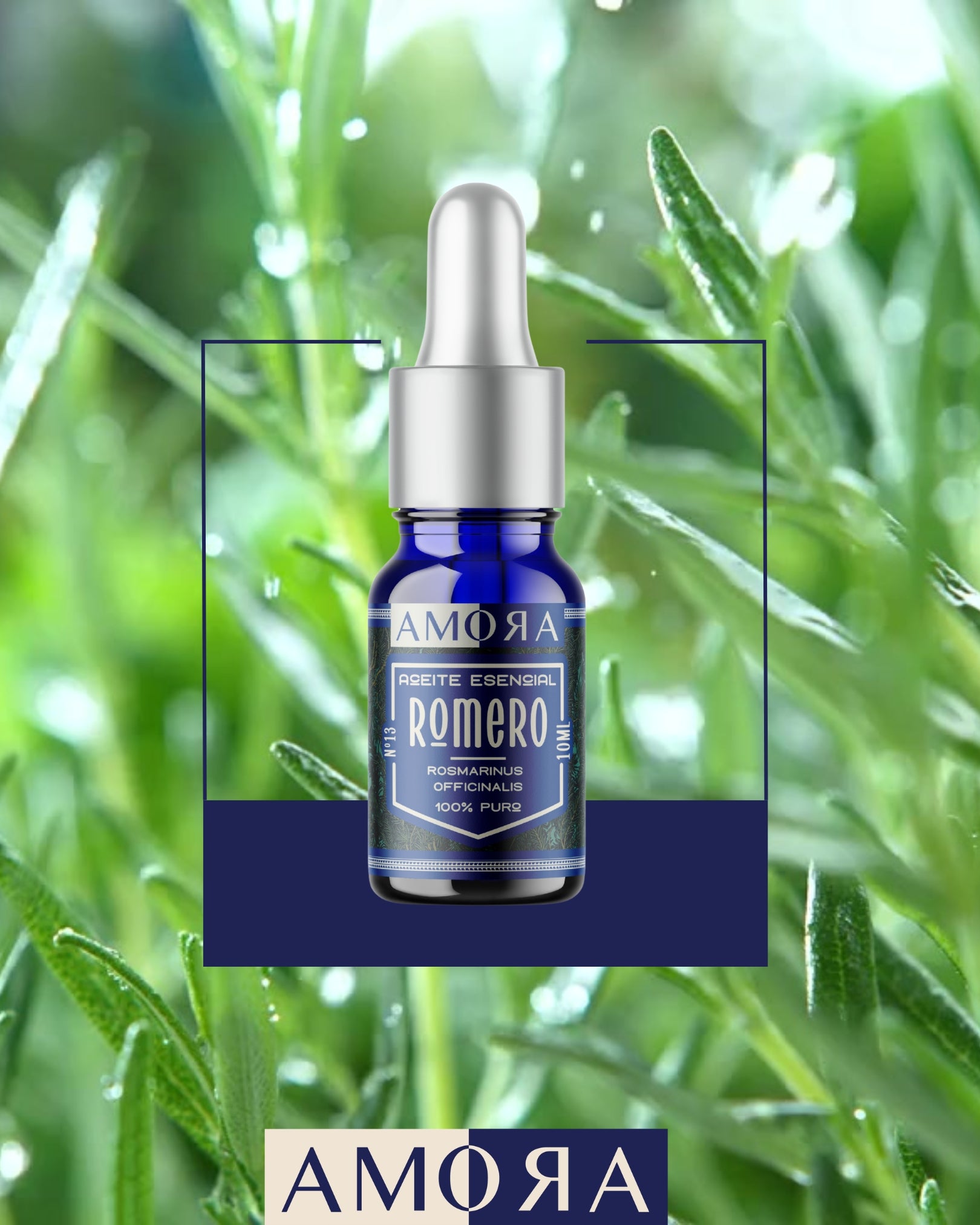 Aceite esencial puro ROMERO