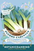Puerro