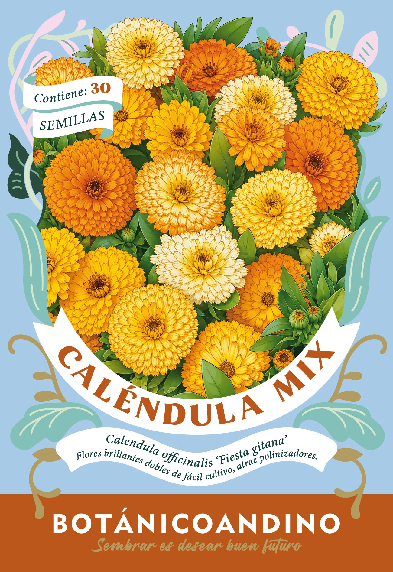 Caléndula doble Fiesta gitana