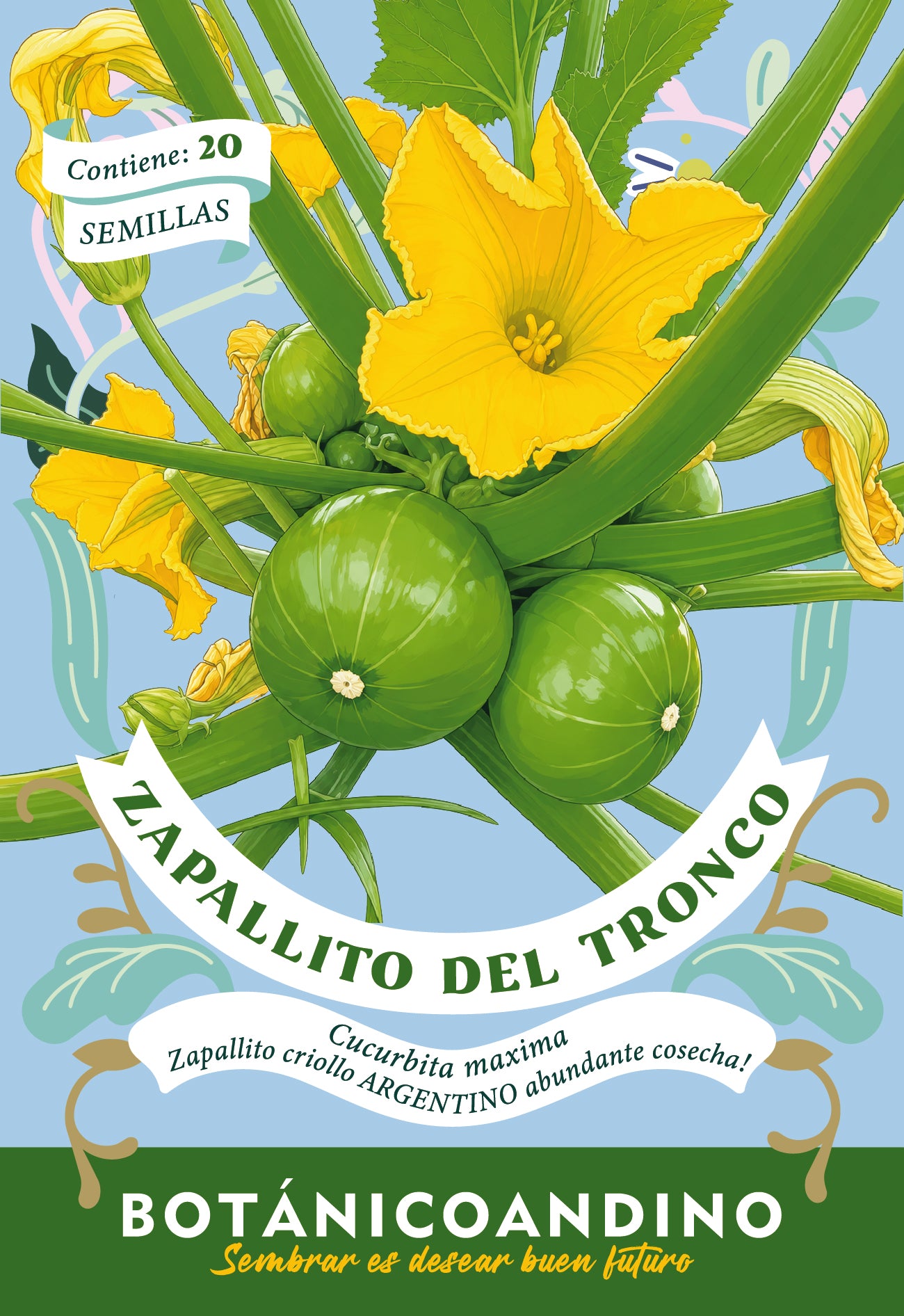 Zapallito del tronco (20 semillas)