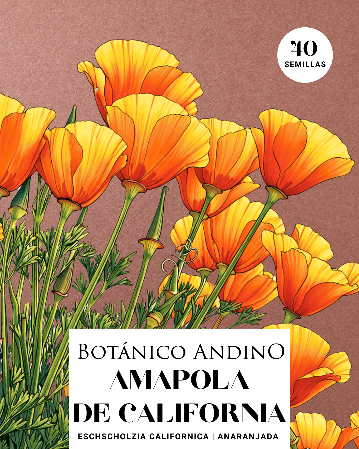 Amapola de California naranja (40 semillas)