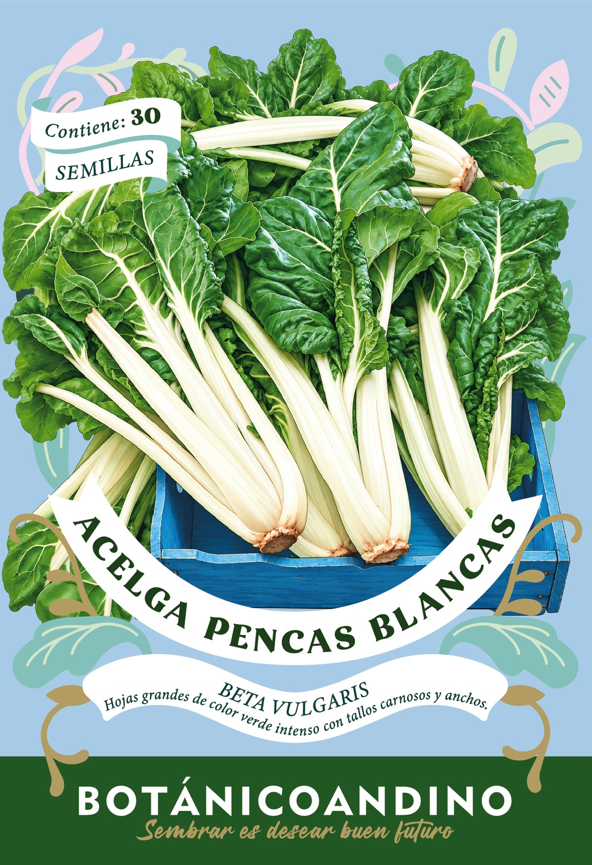 Acelga pencas anchas