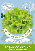 Lechuga grand rapid