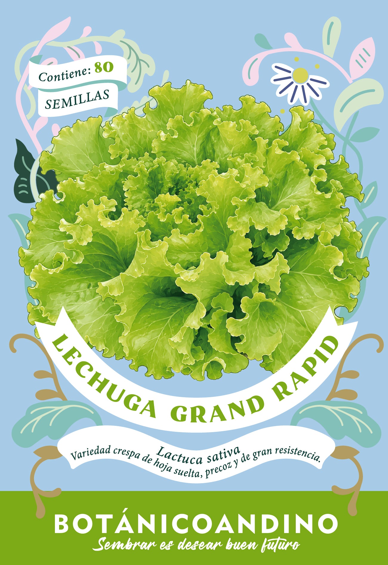 Lechuga grand rapid