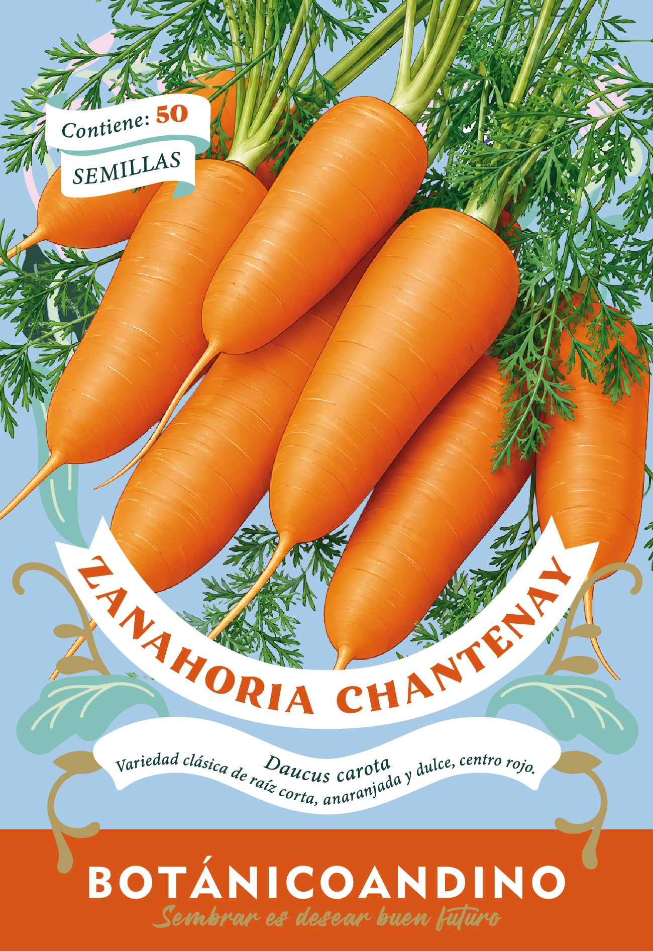 Zanahoria Chantenay