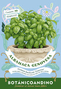 Albahaca Genovesa