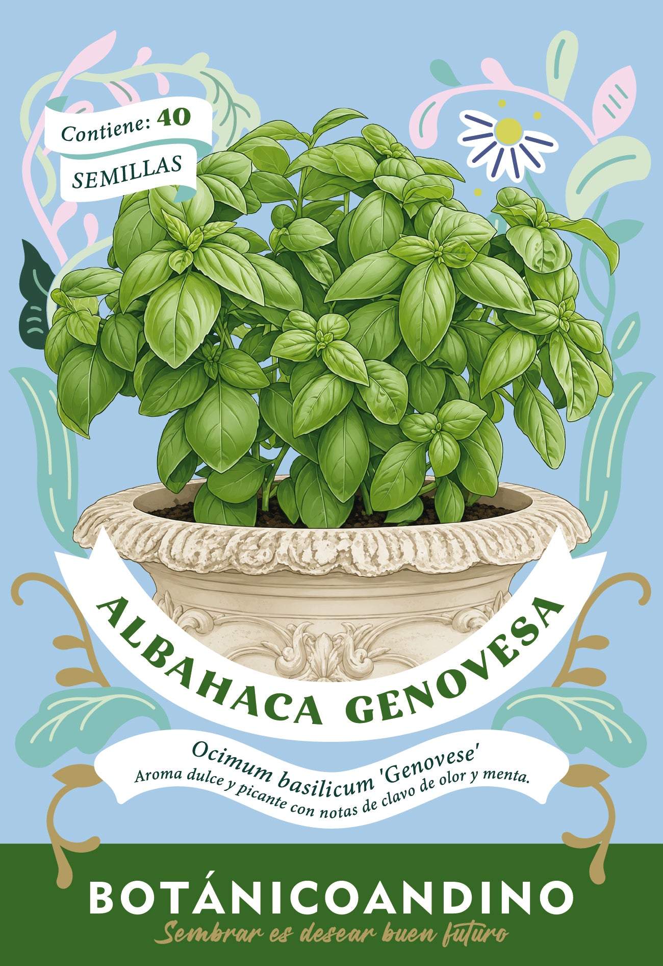 Albahaca Genovesa