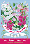Arvejilla perenne