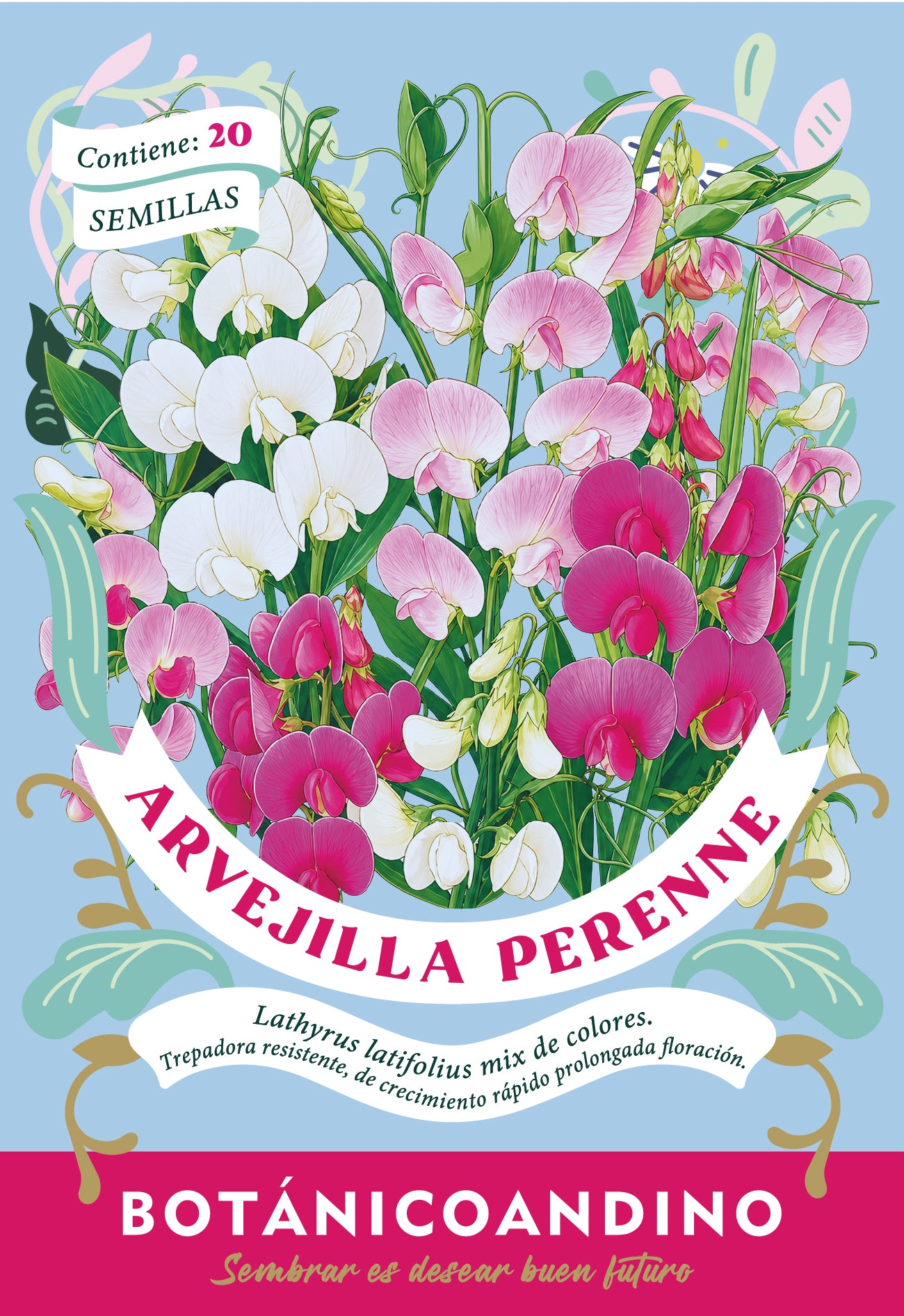 Arvejilla perenne