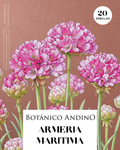 Armeria marítima