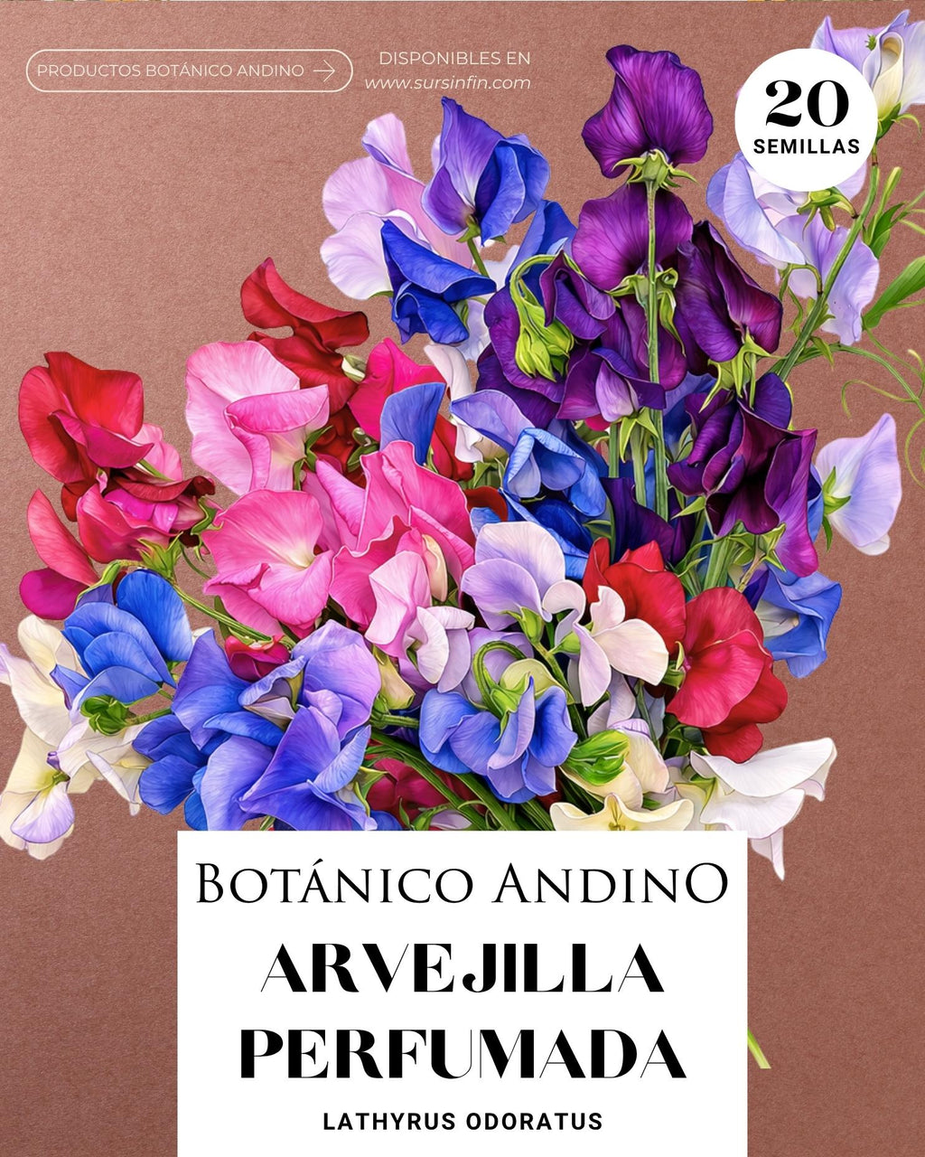 Arvejilla perfumada mix (20 semillas)