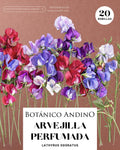 Arvejilla perfumada mix (20 semillas)