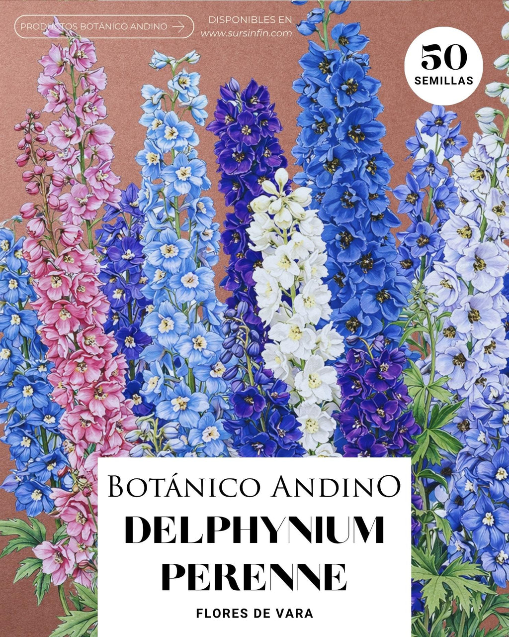 Delphynium perenne