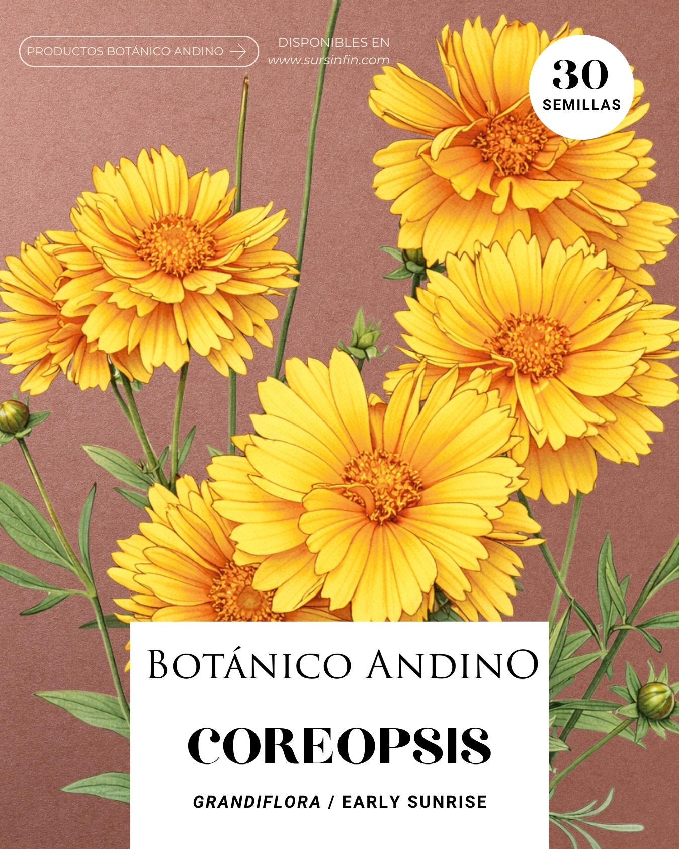 Coreopsis grandiflora