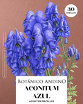 Aconitum azul alto