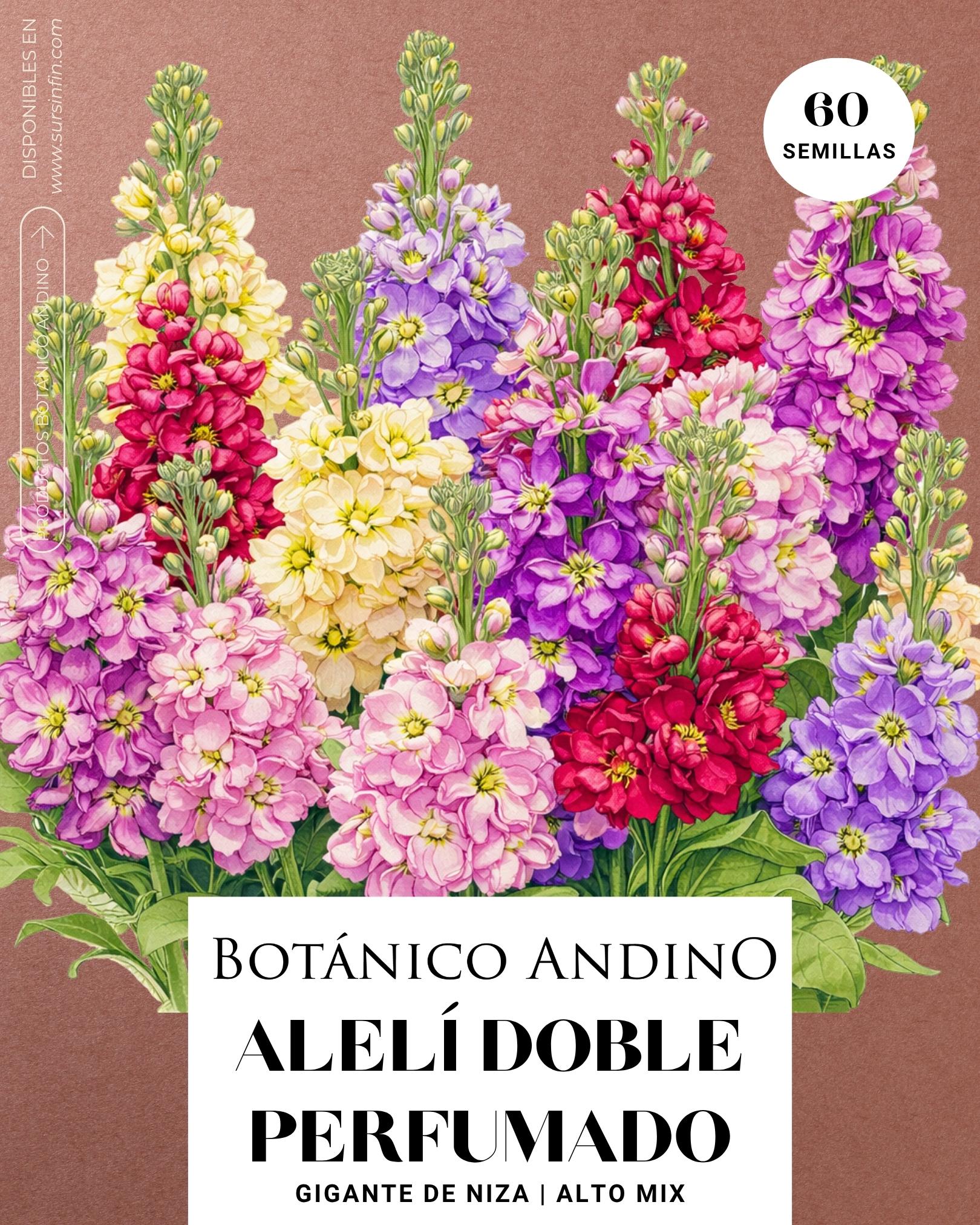 Alelí perfumado doble (60 semillas)