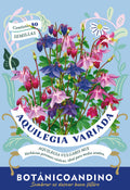 Aquilegia variada
