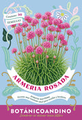 Armeria marítima